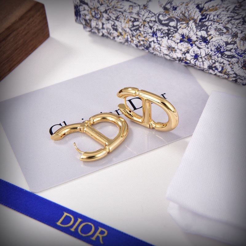 Christian Dior Earrings